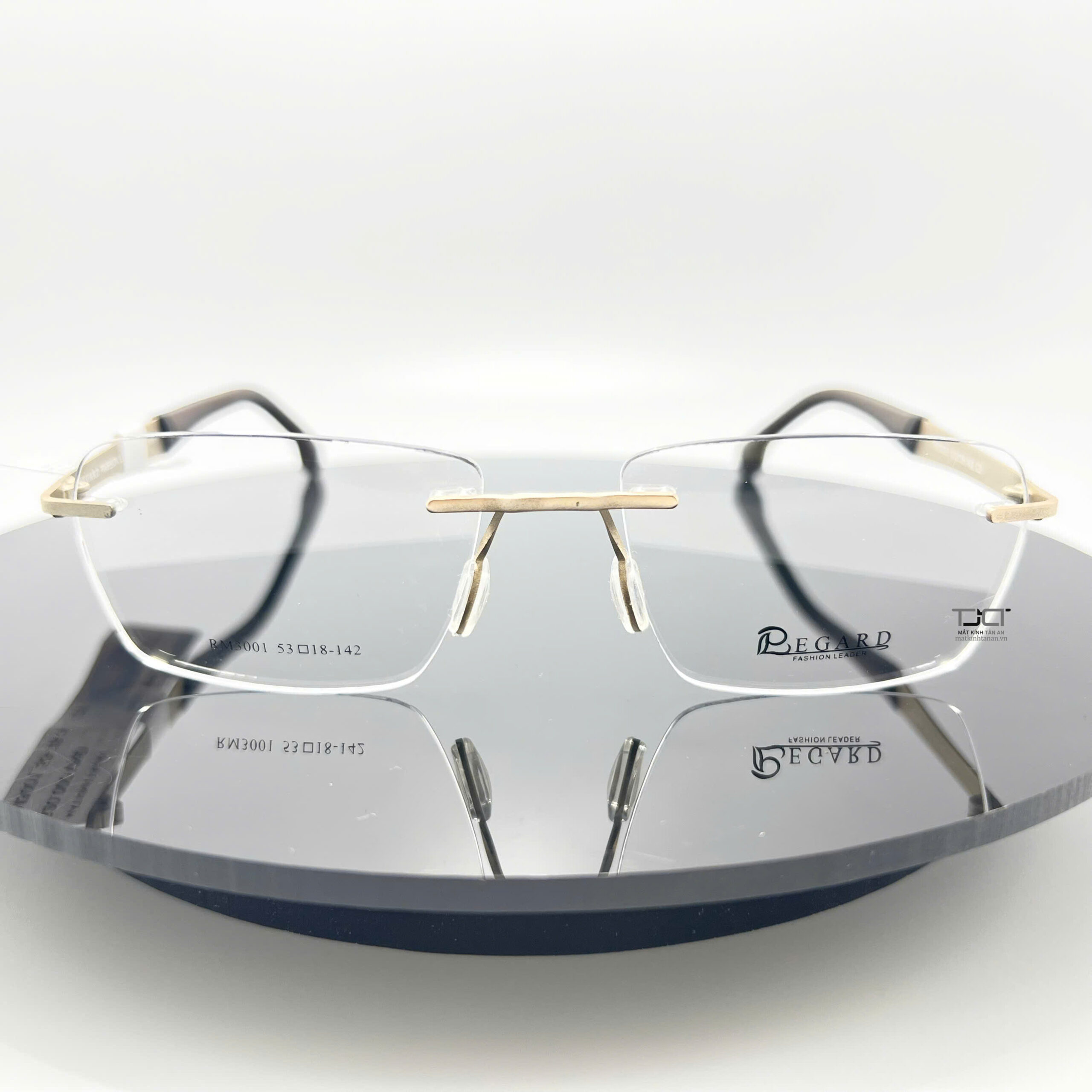 RM3001-C3 2
